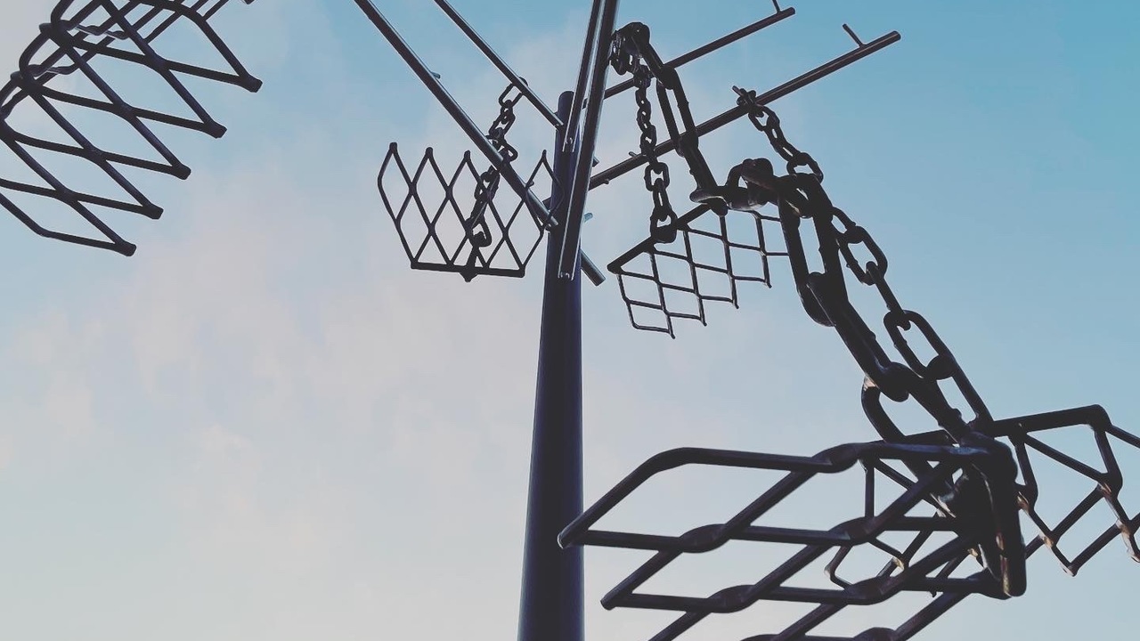 お知らせブログの写真
