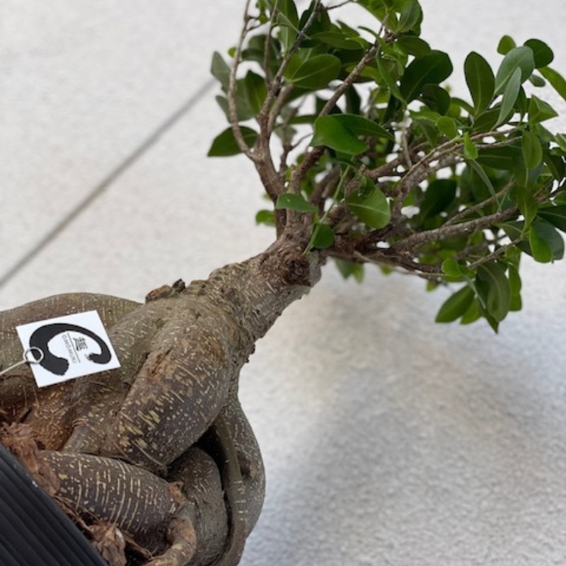 ウェルドワークスファクトリーのブログ写真